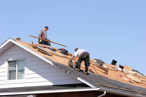 Best Cold Roofs  in Palatine, IL