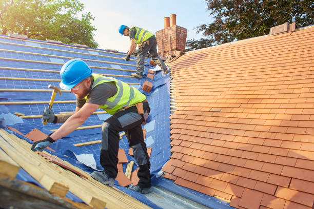 Professional Roofing and repair in Palatine, IL